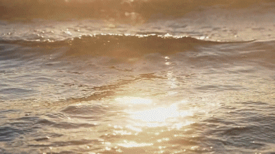 Hotel Leaseback Model